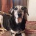 Silvia Bolanos - Facebook