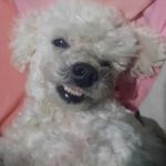 Silvia Bolaños - @silvia.bolanos.547 - Instagram