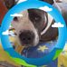 Silvia Botta - Facebook