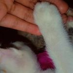 silvi - @silvia_call_sillu - Instagram