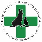 Silvia Carrera - @sanlorenzovet - Instagram