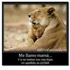 Silvia Carrera - @user5829049225574 - TikTok