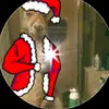 Sylvia Carter - @sylvia.carter20 - TikTok