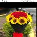 Silvia Chan - Facebook
