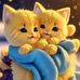 Silvia Chan - Facebook