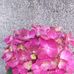 Silvia Chapa - Facebook