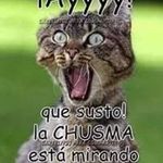 Silvia Colon - @colon6695 - Instagram