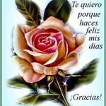 silvia fausto Reyes - @silviafaustoreye - Instagram