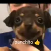 Silvia games - @silvia.games - TikTok