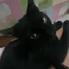 user9255310881171 - @silvia.hall - TikTok