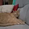 Silvia Heller - @silvia.heller6 - TikTok