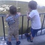 Silvia Iorio - @lollylow - Instagram