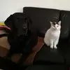 Silvia Katz - @silvia.katz - TikTok