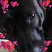 Silvia Louro - Facebook
