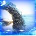 Silvia Loza - Facebook