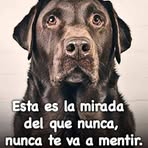 Silvia Mena - Facebook