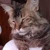 Silvia Mena - @silviamena21 - TikTok