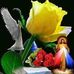 Silvia Meraz - Facebook