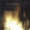 silviamiller62 - @silviamiller62 - TikTok