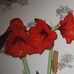 Sylvia Miller - Facebook