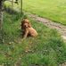 Silvia Murphy - Facebook