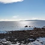 Sylvia Murphy - @sylviadonnellan - Instagram