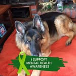 Sylvia Murphy - @sylvia.murphy.370 - Instagram