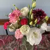 Sylvia Murphy - @sylvia.murphy6 - TikTok