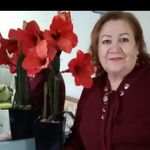 Silvia Nevarez - @nevarez3450 - Instagram