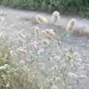 silviapace91 - @silviapace91 - TikTok