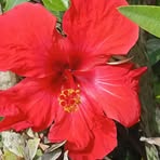 Silvia Pascual - Facebook