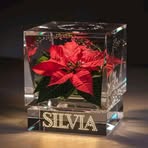 Silvia Pascual - Facebook