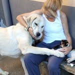 Silvia Pascual Peribáñez - @silviapascualperibanez - Instagram