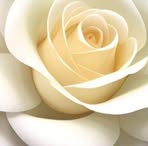 Silvia Pimentel - Facebook