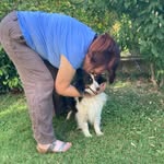 Silvia Pisano - @kennelspiritsdog - Instagram