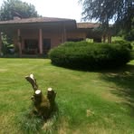 Silvia Pisano - Facebook