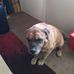 Silvia Powell - Facebook