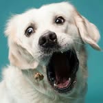 👣silvia power👣 - @eres_caca_de_vaca_pregunto - Instagram