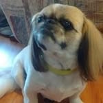 Sylvia Hyatt Powers - @sylvia.powers - Instagram