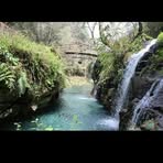 Silvia Preza - Facebook