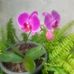 Silvia Puga - Facebook