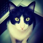 Silvita Puga - @silviapuga - Instagram