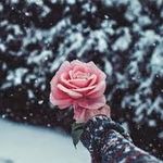 💖малышка💖 - @s_i_l_v_i_a_ray_ - Instagram