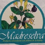 Silvia Rendón - @madre_selva1 - Instagram