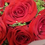 Silvia Rios - Facebook