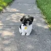 Silvia Rios - @silvia.rios388 - TikTok