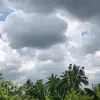 silviaromano5612 - @silviaromano5612 - TikTok