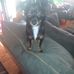 Sylvia Rucker - Facebook