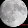 Sylvia Talbot - @sylvia.talbot - TikTok