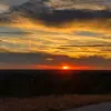 Sylvia Thompson - @sylvia.thompson14 - TikTok